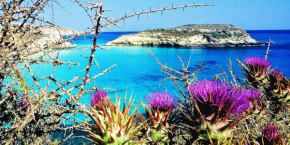 Lampedusa rosamarina